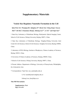 Supplementary Information