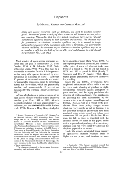 Elephants - University of Colorado Boulder