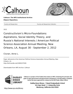 Constructivism`s Micro-Foundations: Aspirations, Social Identity