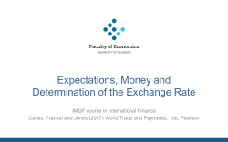 The Balance of Payments Accounts