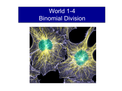 Lesson 1- Pythagoras Theorem
