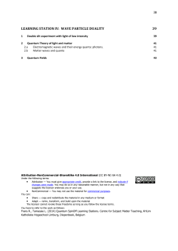 Learning station IV: Wave Particle Duality - Quantum Spin
