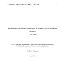 Running Head: PREHENSION ENRICHMENT EXPERIENCE