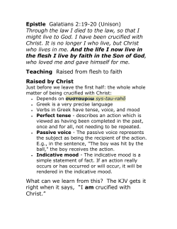 Raised by Christ