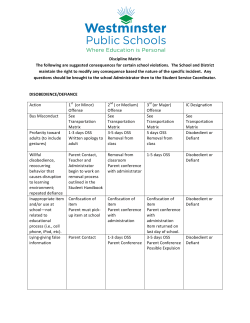 Discipline Matrix The following are suggested consequences for