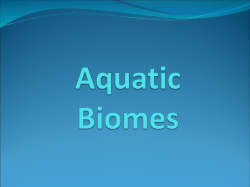 Aquatic Biomes
