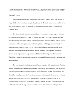 Identification and Analysis of Existing Organizational Strategies Paper