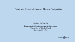 Peers and Crime: A Control Theory Perspective