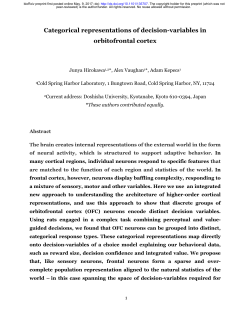 Categorical Representations Of Decision-Variables In