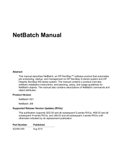 NetBatch Manual