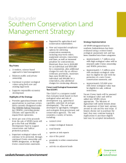 Management Strategy Media Backgrounder