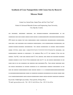 Paper Template - Nano Korea 2017