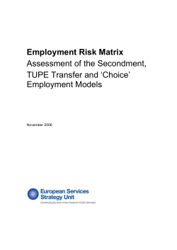 ESSU Employment Risk Matrix - The European Services Strategy Unit