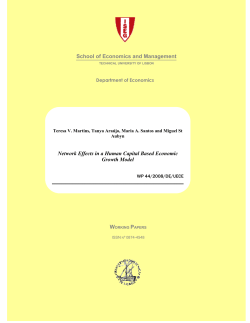 Network Effects in a Human Capital Based Economic Growth