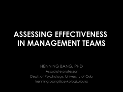 Assessing effectiveness in management teams - cut-e
