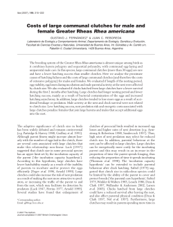 Costs of large communal clutches for male and female Greater