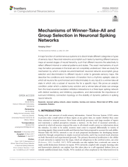 Mechanisms of Winner-Take-All and Group Selection in
