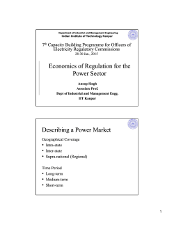 Economics of Regulation for the Power Sector