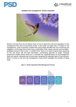 1 Scalable risk management: Small is beautiful Small to mid