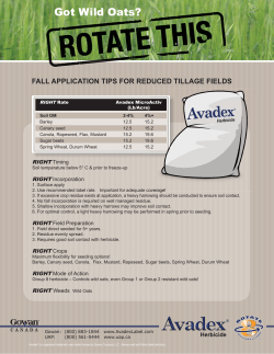 Avadex - Fall Application Tips (includes Fortress).indd
