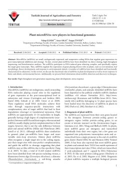 Plant microRNAs: new players in functional genomics