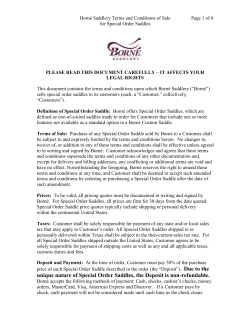 Definition of Special Order Saddle: Born&eacute; offers