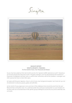 WILDLIFE REPORT SINGITA GRUMETI, TANZANIA For the month