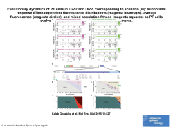 powerpoint - Molecular Systems Biology
