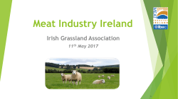 Joe Ryan Meat Industry Ireland