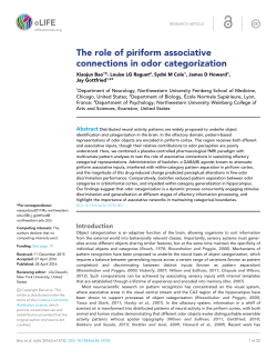 The role of piriform associative connections in odor categorization