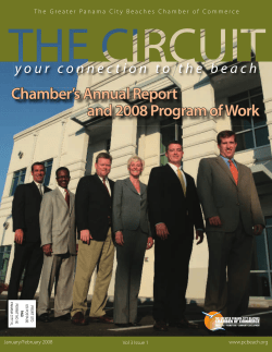 Chamber`s Annual Report and 2008 Program of Work