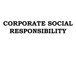 corporate social responsibility