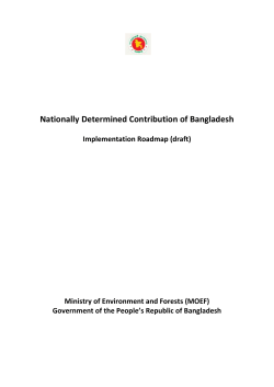 Institutional arrangements for NDC implementation