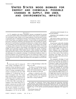 United States Wood Biomass for Energy and Chemicals: Possible