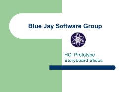 Blue Jay Software Group