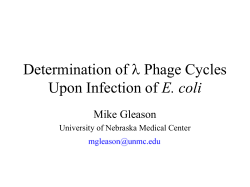 Determination of Lambda Phage Cycles Upon Infection