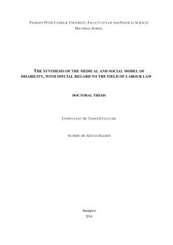 the synthesis of the medical and social model of