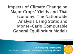 Stochastic Computable General Equilibrium Model