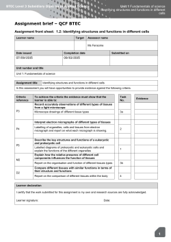 Assignment 1.2 brief
