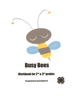 Honey Bee Youth Curriculum