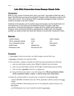 DNA Extraction Cheek Cell Lab