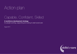 Workforce development strategy action plan