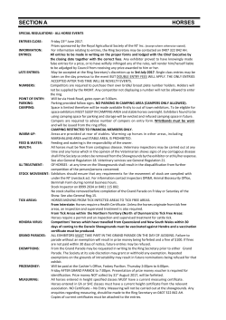 section a horses - Royal Darwin Show