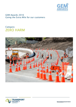 GEM Awards 2016 Zero Harm application form
