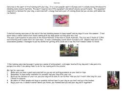 Canicross is the sport of trail running with your dog. It is a very