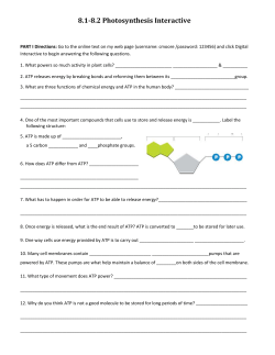 8.1-8.2 Photosynthesis Interactive
