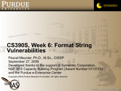 Course 2: Programming Issues