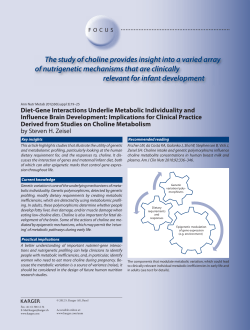 The study of choline provides insight into a varied array of