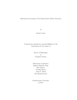 Information Processing in Two-Dimensional Cellular Automata