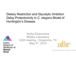 F1300-5318_Nydia_Ekasumara